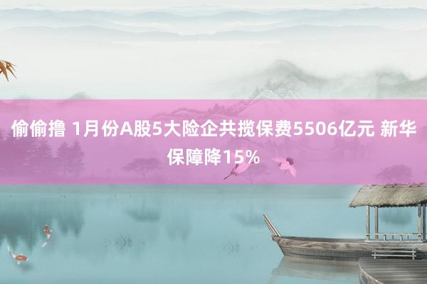 偷偷撸 1月份A股5大险企共揽保费5506亿元 新华保障降15%