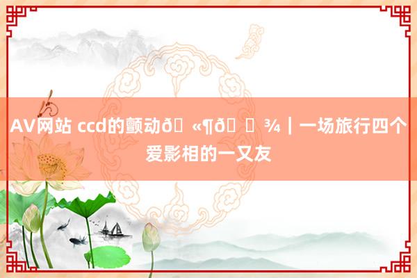 AV网站 ccd的颤动🫶🏾｜一场旅行四个爱影相的一又友