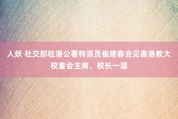 人妖 社交部驻港公署特派员崔建春会见香港教大校董会主席、校长一溜