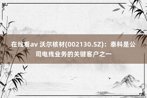 在线看av 沃尔核材(002130.SZ)：泰科是公司电线业务的关键客户之一