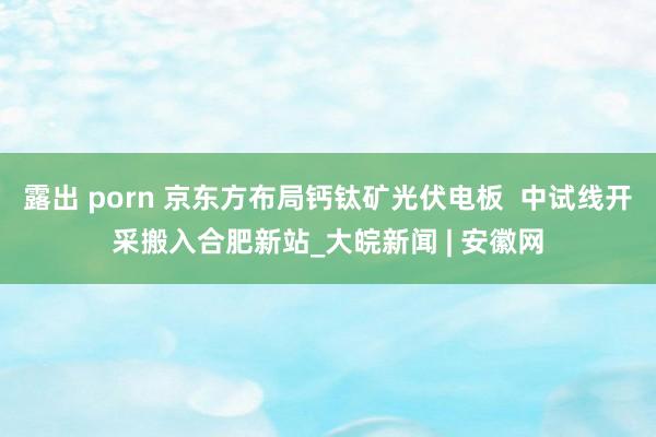 露出 porn 京东方布局钙钛矿光伏电板  中试线开采搬入合肥新站_大皖新闻 | 安徽网