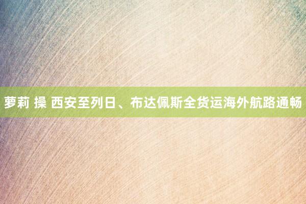 萝莉 操 西安至列日、布达佩斯全货运海外航路通畅