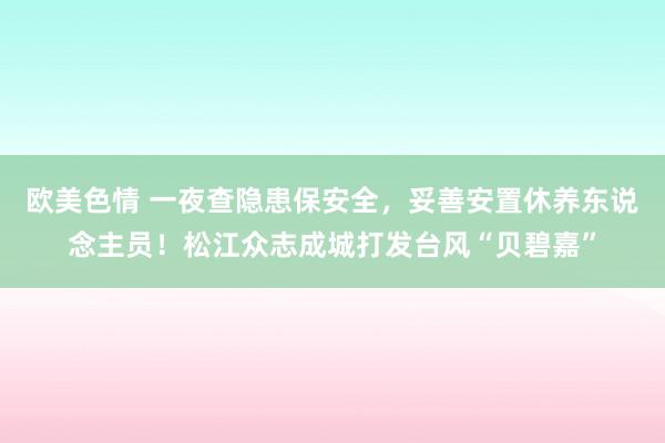 欧美色情 一夜查隐患保安全，妥善安置休养东说念主员！松江众志成城打发台风“贝碧嘉”