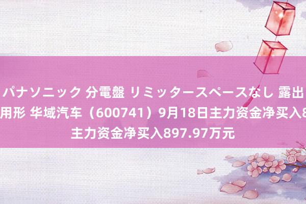 パナソニック 分電盤 リミッタースペースなし 露出・半埋込両用形 华域汽车（600741）9月18日主力资金净买入897.97万元