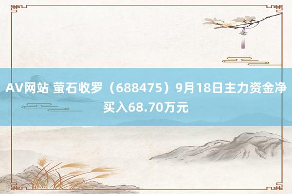 AV网站 萤石收罗（688475）9月18日主力资金净买入68.70万元