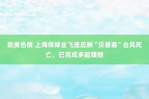 欧美色情 上海保障业飞速应酬“贝碧嘉”台风死亡，已完成多起理赔