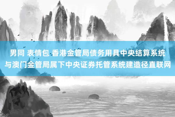 男同 表情包 香港金管局债务用具中央结算系统与澳门金管局属下中央证券托管系统建造径直联网