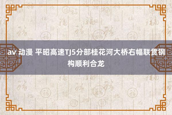 av 动漫 平昭高速TJ5分部桂花河大桥右幅联贯钢构顺利合龙