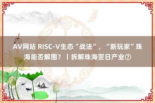 AV网站 RISC-V生态“战法”，“新玩家”珠海能否解围？丨拆解珠海翌日产业⑦