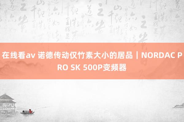 在线看av 诺德传动仅竹素大小的居品｜NORDAC PRO SK 500P变频器