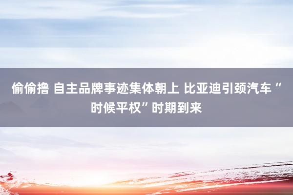 偷偷撸 自主品牌事迹集体朝上 比亚迪引颈汽车“时候平权”时期到来