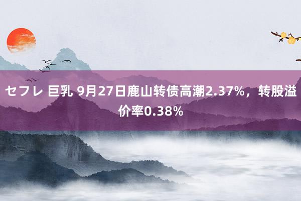 セフレ 巨乳 9月27日鹿山转债高潮2.37%，转股溢价率0.38%