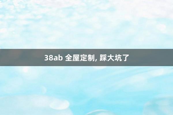 38ab 全屋定制， 踩大坑了