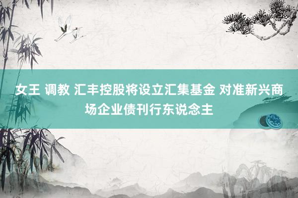 女王 调教 汇丰控股将设立汇集基金 对准新兴商场企业债刊行东说念主