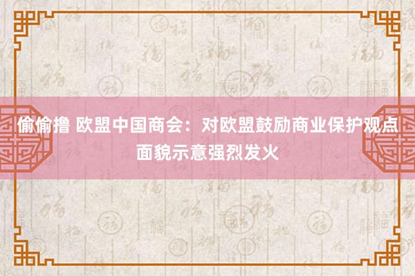 偷偷撸 欧盟中国商会：对欧盟鼓励商业保护观点面貌示意强烈发火