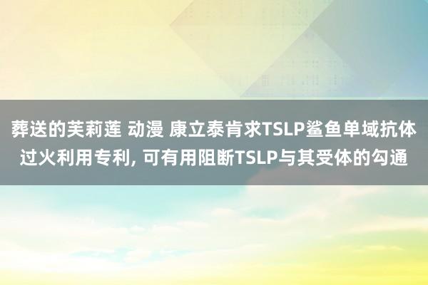 葬送的芙莉莲 动漫 康立泰肯求TSLP鲨鱼单域抗体过火利用专利， 可有用阻断TSLP与其受体的勾通