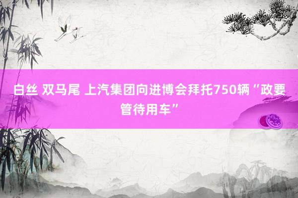 白丝 双马尾 上汽集团向进博会拜托750辆“政要管待用车”