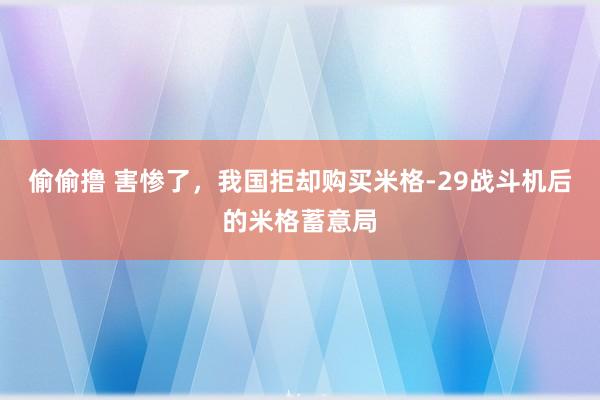 偷偷撸 害惨了，我国拒却购买米格-29战斗机后的米格蓄意局