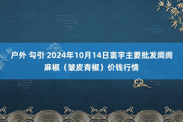 户外 勾引 2024年10月14日寰宇主要批发阛阓麻椒（皱皮青椒）价钱行情