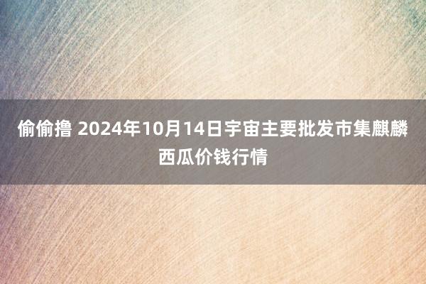 偷偷撸 2024年10月14日宇宙主要批发市集麒麟西瓜价钱行情