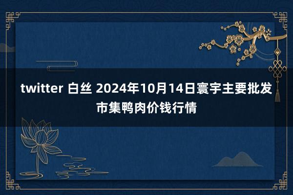 twitter 白丝 2024年10月14日寰宇主要批发市集鸭肉价钱行情