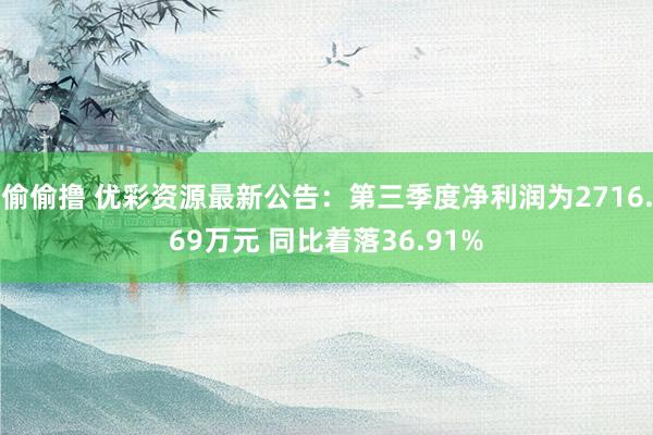 偷偷撸 优彩资源最新公告：第三季度净利润为2716.69万元 同比着落36.91%