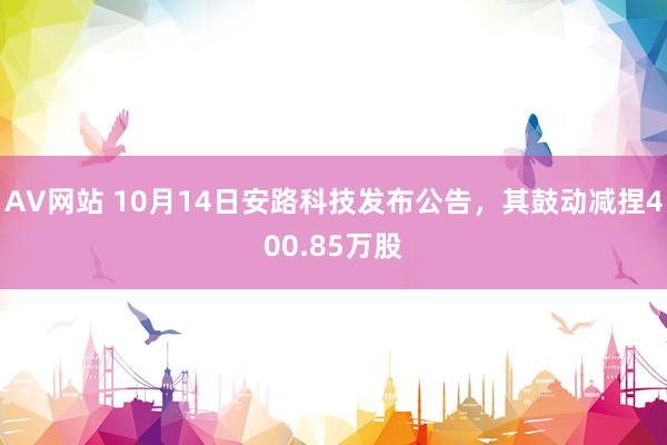 AV网站 10月14日安路科技发布公告，其鼓动减捏400.85万股