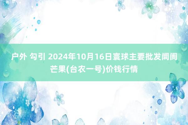 户外 勾引 2024年10月16日寰球主要批发阛阓芒果(台农一号)价钱行情