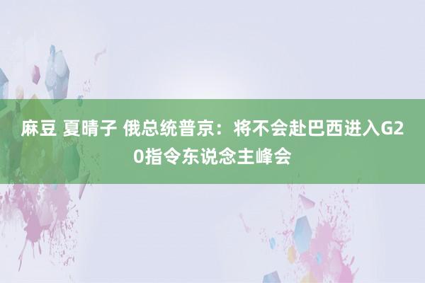 麻豆 夏晴子 俄总统普京：将不会赴巴西进入G20指令东说念主峰会