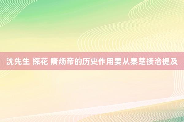 沈先生 探花 隋炀帝的历史作用要从秦楚接洽提及