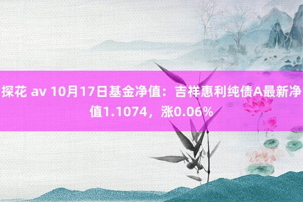 探花 av 10月17日基金净值：吉祥惠利纯债A最新净值1.1074，涨0.06%