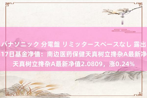 パナソニック 分電盤 リミッタースペースなし 露出・半埋込両用形 10月17日基金净值：南边医药保健天真树立搀杂A最新净值2.0809，涨0.24%