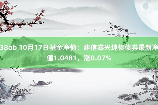 38ab 10月17日基金净值：建信睿兴纯债债券最新净值1.0481，涨0.07%