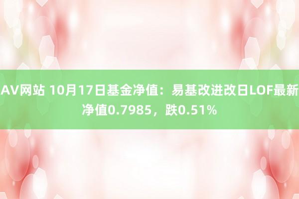 AV网站 10月17日基金净值：易基改进改日LOF最新净值0.7985，跌0.51%