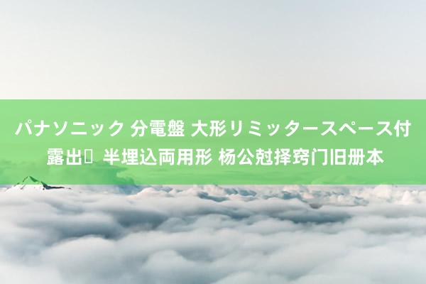 パナソニック 分電盤 大形リミッタースペース付 露出・半埋込両用形 杨公尅择窍门旧册本