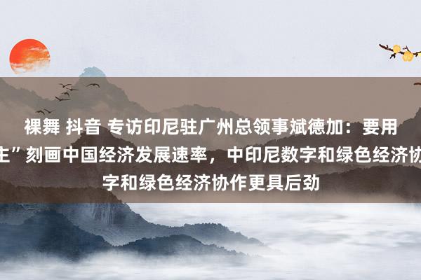 裸舞 抖音 专访印尼驻广州总领事斌德加：要用“惊东说念主”刻画中国经济发展速率，中印尼数字和绿色经济协作更具后劲