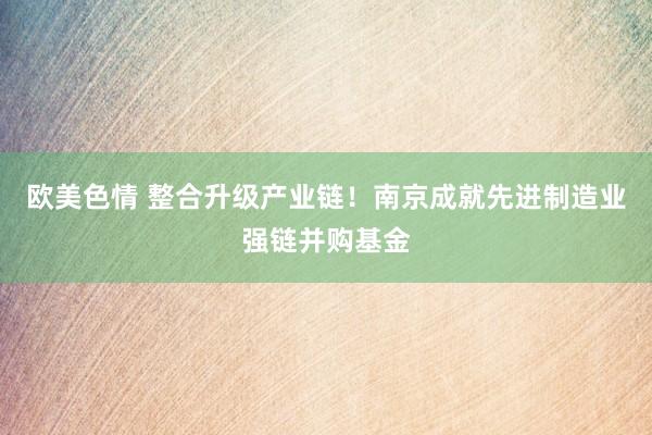 欧美色情 整合升级产业链！南京成就先进制造业强链并购基金