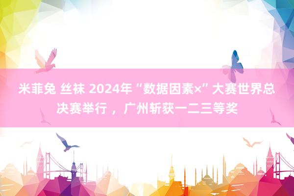 米菲兔 丝袜 2024年“数据因素×”大赛世界总决赛举行 ，广州斩获一二三等奖