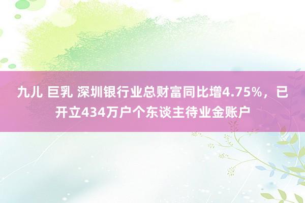 九儿 巨乳 深圳银行业总财富同比增4.75%，已开立434万户个东谈主待业金账户