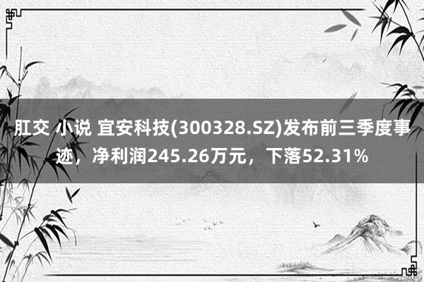 肛交 小说 宜安科技(300328.SZ)发布前三季度事迹，净利润245.26万元，下落52.31%