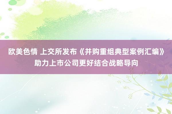 欧美色情 上交所发布《并购重组典型案例汇编》助力上市公司更好结合战略导向