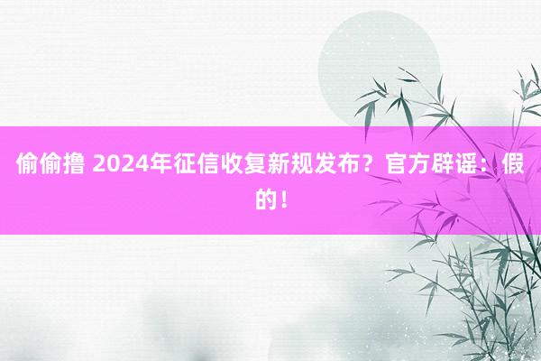 偷偷撸 2024年征信收复新规发布？官方辟谣：假的！