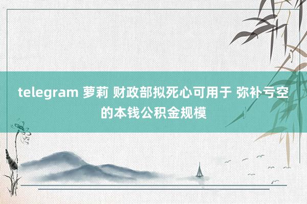 telegram 萝莉 财政部拟死心可用于 弥补亏空的本钱公积金规模