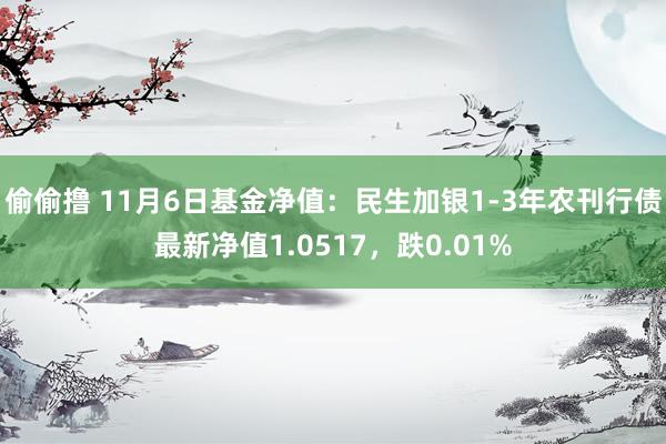 偷偷撸 11月6日基金净值：民生加银1-3年农刊行债最新净值1.0517，跌0.01%