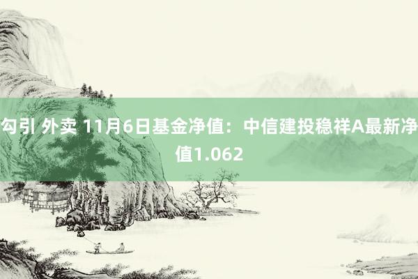 勾引 外卖 11月6日基金净值：中信建投稳祥A最新净值1.062