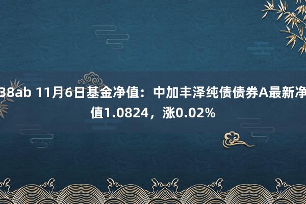 38ab 11月6日基金净值：中加丰泽纯债债券A最新净值1.0824，涨0.02%