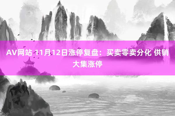 AV网站 11月12日涨停复盘：买卖零卖分化 供销大集涨停