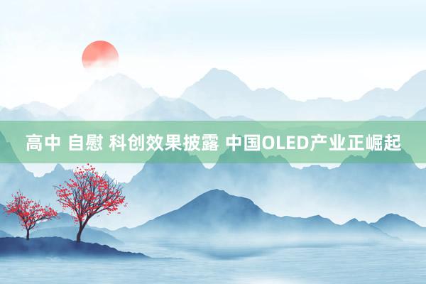 高中 自慰 科创效果披露 中国OLED产业正崛起