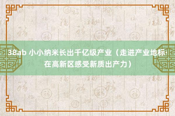 38ab 小小纳米长出千亿级产业（走进产业地标·在高新区感受新质出产力）