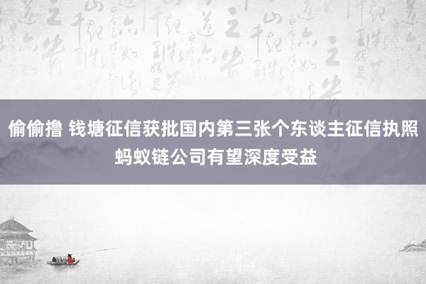 偷偷撸 钱塘征信获批国内第三张个东谈主征信执照 蚂蚁链公司有望深度受益